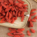 Saludable alimento bayas de goji berry